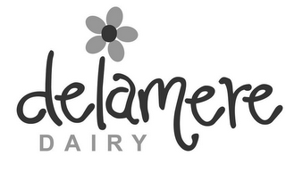 DELAMERE DAIRY