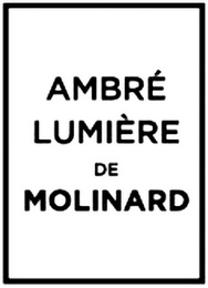 AMBRÉ LUMIÈRE DE MOLINARD