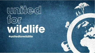 UNITED FOR WILDLIFE #UNITEDFORWILDLIFE