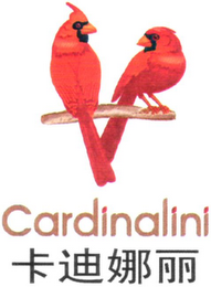 CARDINALINI