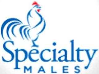 SPECIALTY MALES