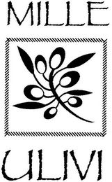 MILLE ULIVI