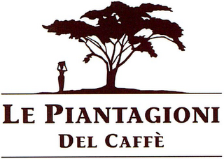 LE PIANTAGIONI DEL CAFFÈ