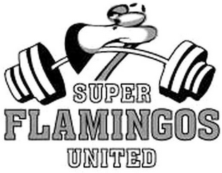 SUPER FLAMINGOS UNITED