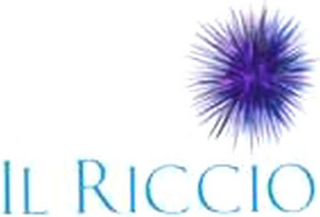 IL RICCIO