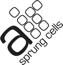 AIR SPRUNG CELLS