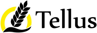 TELLUS