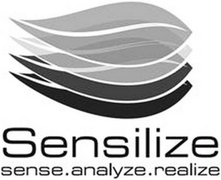 SENSILIZE SENSE.ANALYZE.REALIZE