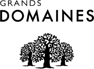 GRANDS DOMAINES