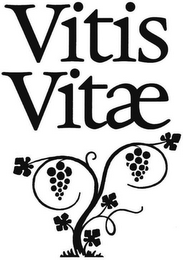 VITIS VITAE