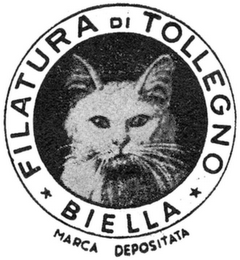 FILATURA DI TOLLEGNO BIELLA MARCA DEPOSITATA