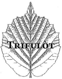 TRIFULÒT