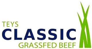 TEYS CLASSIC GRASSFED BEEF