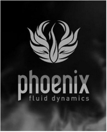 PHOENIX FLUID DYNAMICS