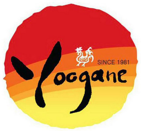 YOOGANE SINCE 1981