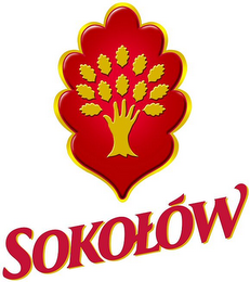 SOKOLÓW