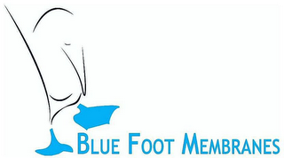 BLUE FOOT MEMBRANES