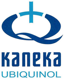 Q KANEKA UBIQUINOL