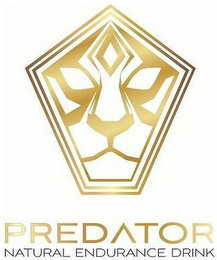 PREDATOR NATURAL ENDURANCE DRINK