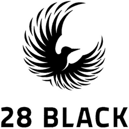 28 BLACK