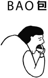 BAO