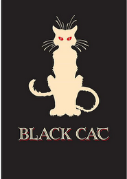 BLACK CAT