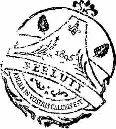 1805 BERLUTI ANIMA IN VOSTRIS CALCELS EST