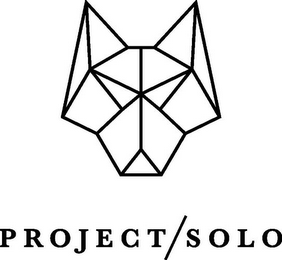 PROJECT/SOLO