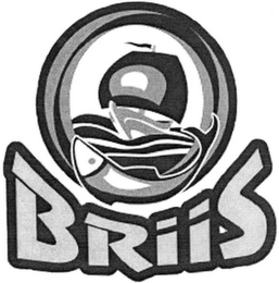 BRIIS