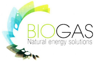 BIOGAS NATURAL ENERGY SOLUTIONS