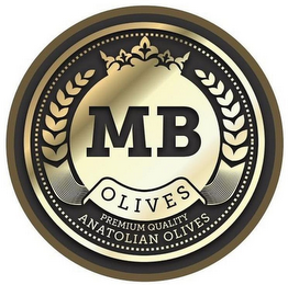 MB OLIVES PREMIUM QUALITY ANATOLIAN OLIVES