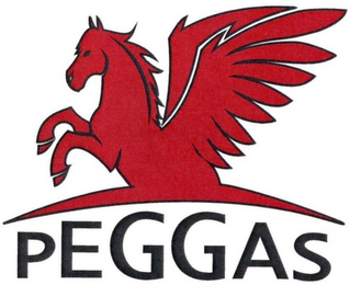 PEGGAS