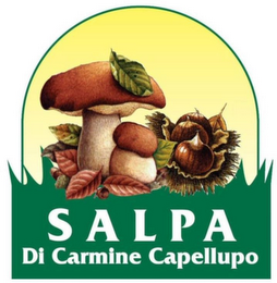 SALPA DI CARMINE CAPELLUPO