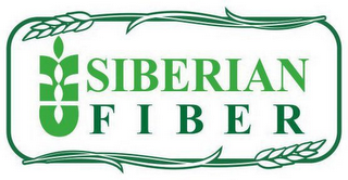 SIBERIAN FIBER