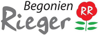 BEGONIEN RIEGER RR