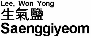 LEE, WON YONG SAENGGIYEOM