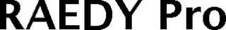 RAEDY PRO