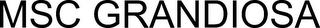 MSC GRANDIOSA