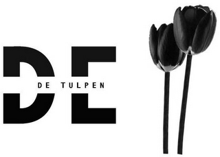 DE DE TULPEN