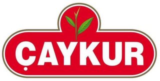 ÇAYKUR