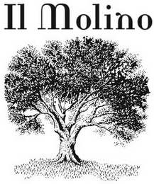 IL MOLINO