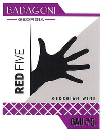 BADAGONI GEORGIA GEORGIAN WINE RED FIVEGAU#5