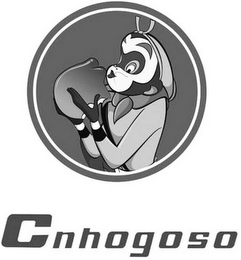 CNHOGOSO