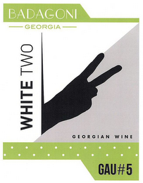 BADAGONI GEORGIA GEORGIAN WINE WHITE TWO GAU#5