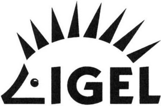 IGEL