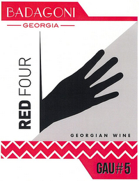 BADAGONI GEORGIA GEORGIAN WINE RED FOURGAU#5