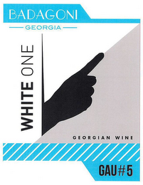 BADAGONI GEORGIA GEORGIAN WINE WHITE ONE GAU#5