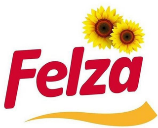 FELZA