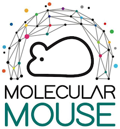 MOLECULAR MOUSE