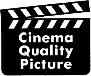 CINEMA QUALITY PICTURE